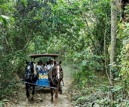 Guembe Biocentro & Resort Санта-Крус-де-ла-Сьєрра Екстер'єр фото